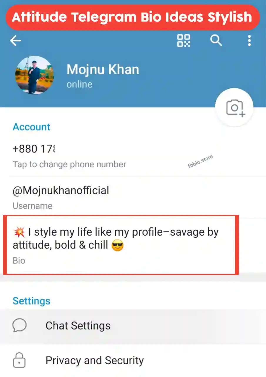 BEST Telegram bio stylish : attitude bio ideas with emoji